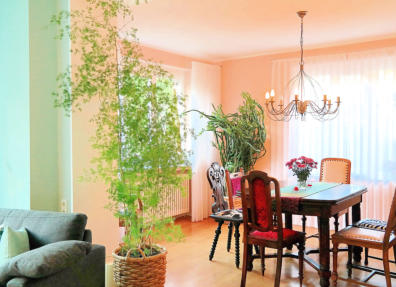 Fasaderske storitve v Podravju. Slikopleskarske storitve v Podravju. Pleskanje kovin v Podravju. Pleskanje lesa v Podravju.