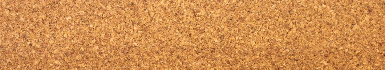 Polaganje talnih oblog iz plute Ljubljana